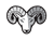WCS Ram Logo